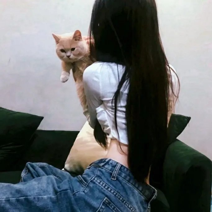 靓妹贵姓